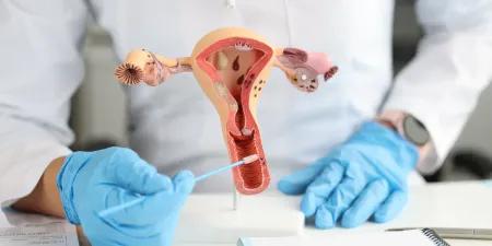 The pelvic exam: a crucial examination for women