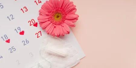 les 4 phases du cycle menstruel calendrier